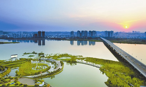 海綿.jpg