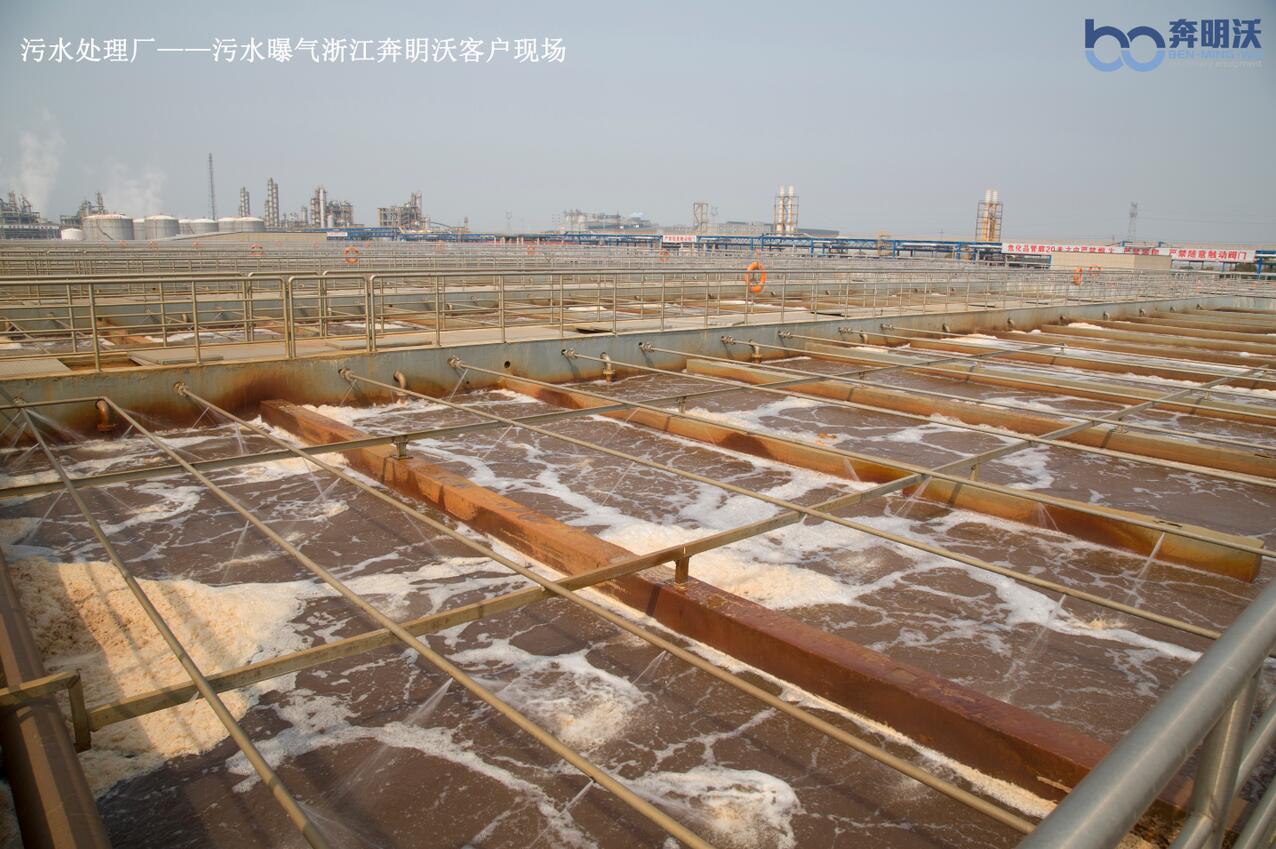 QQ截圖20180625165832.jpg